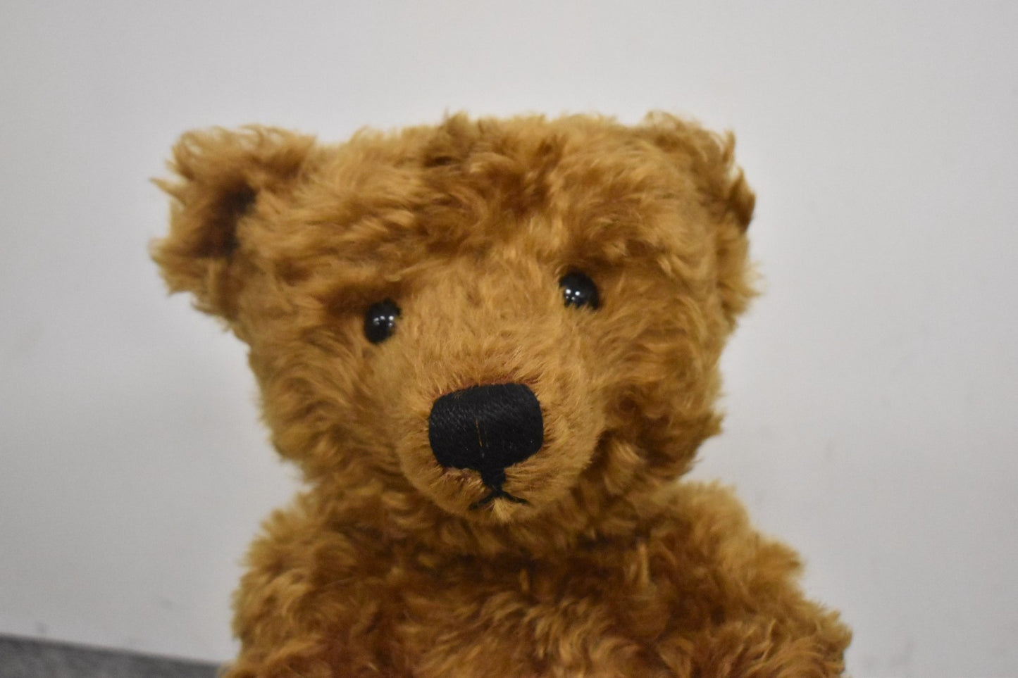 Steiff Teddy Girl Bear Replica 1905 404306 Limited Edition