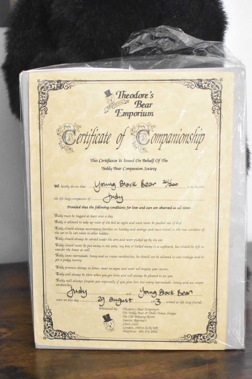 Vintage Artist Teddy Bear by Kaylee Nilan – Beaver Valley Young Black Bear – Limited Edition