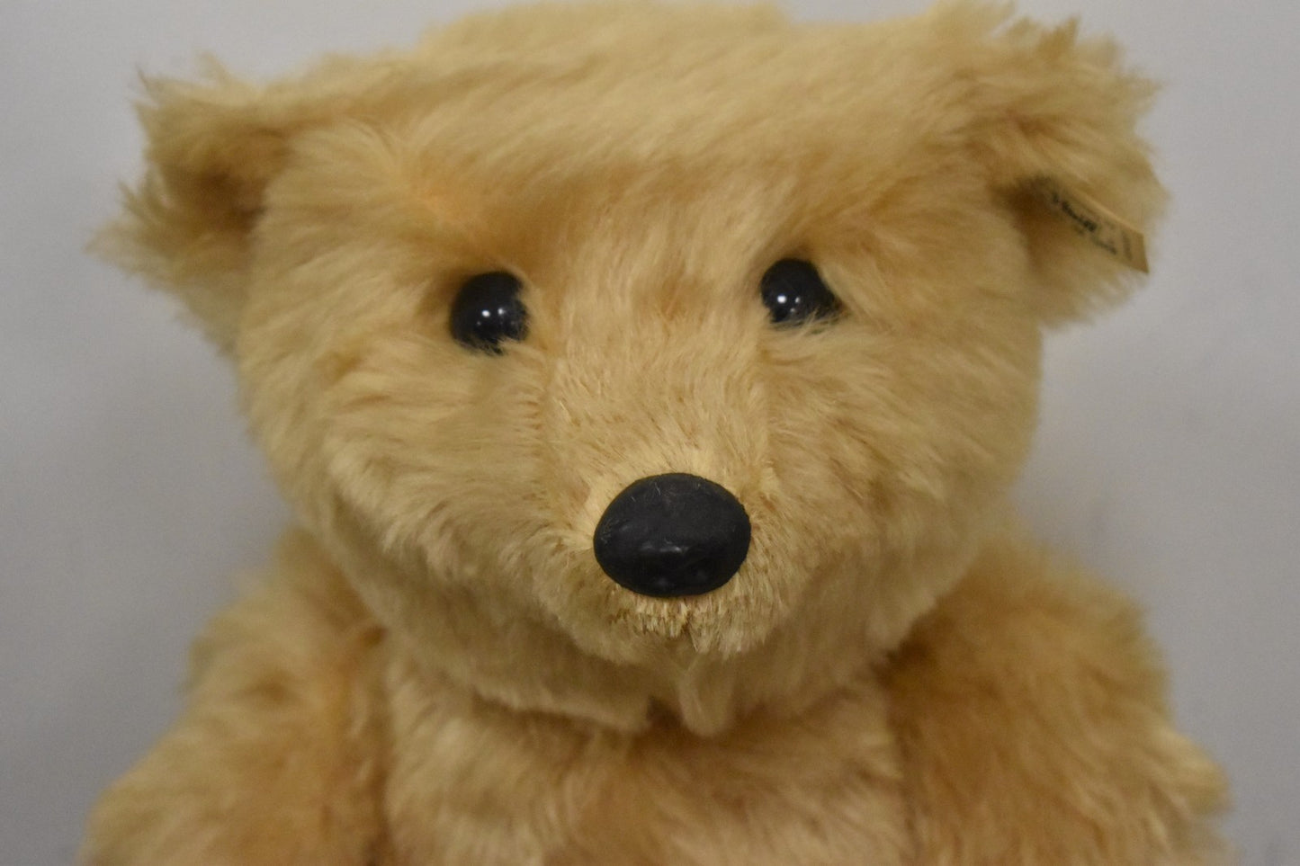 Steiff Barle 35 PB Replica 1905 Teddy Bear 404207 Limited Edition