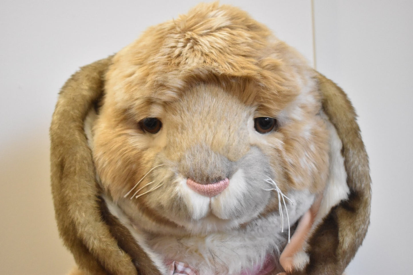 Charlie Bears Malibu Rabbit LE 240/1000 Retired 80cm Isabelle Lee Tagged