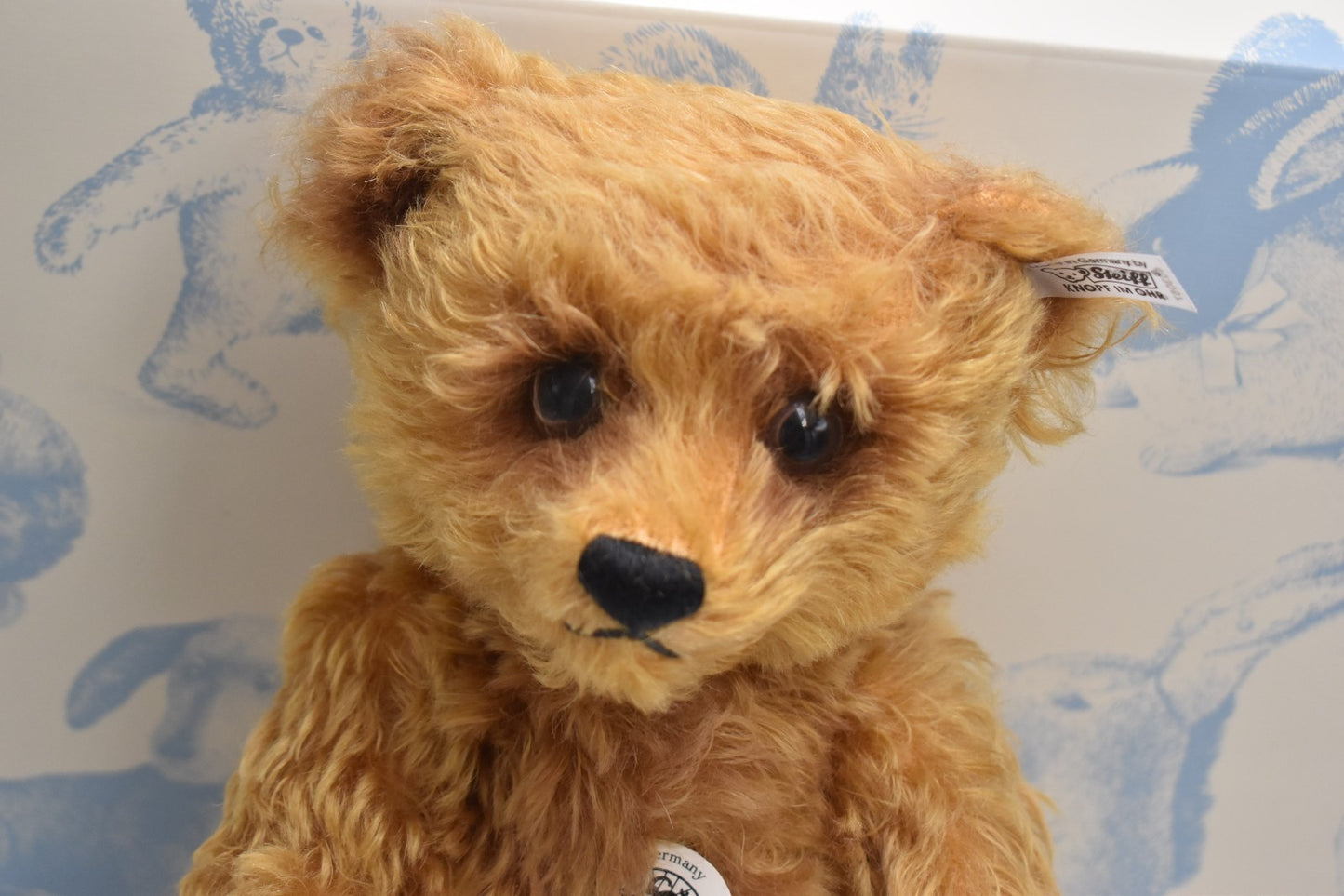 Steiff Teddy Bear 1926 Replica Growler – 403057 – Limited Edition #550/750