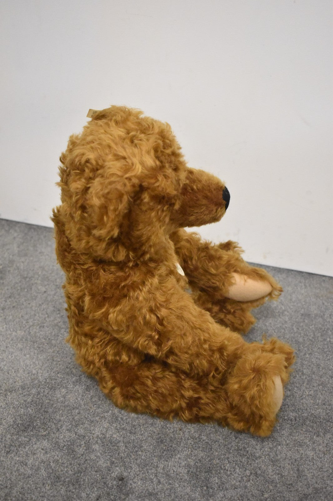 Steiff Teddy Girl Bear Replica 1905 404306 Limited Edition