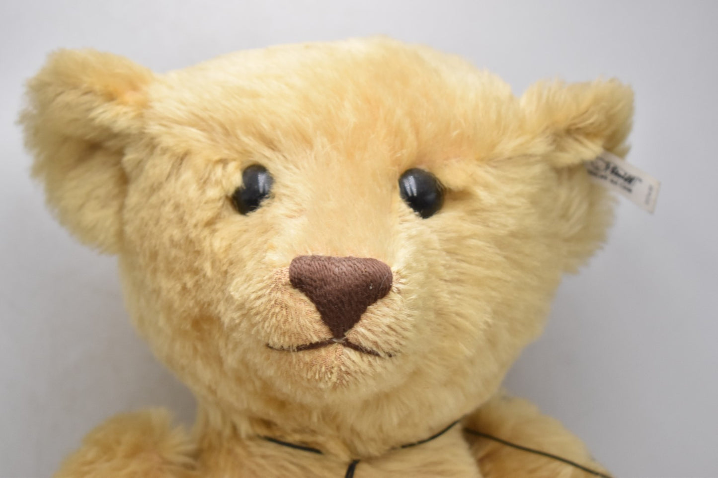 Steiff British Collector’s 1907 Replica Teddy Bear 0174/61 60cm 406102