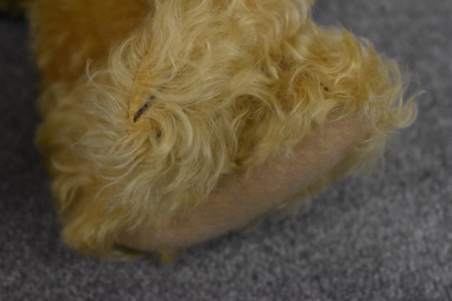 Steiff Teddy Boy Bear Replica 1905 – Limited Edition #1981/6000 – 404320 – Boxed