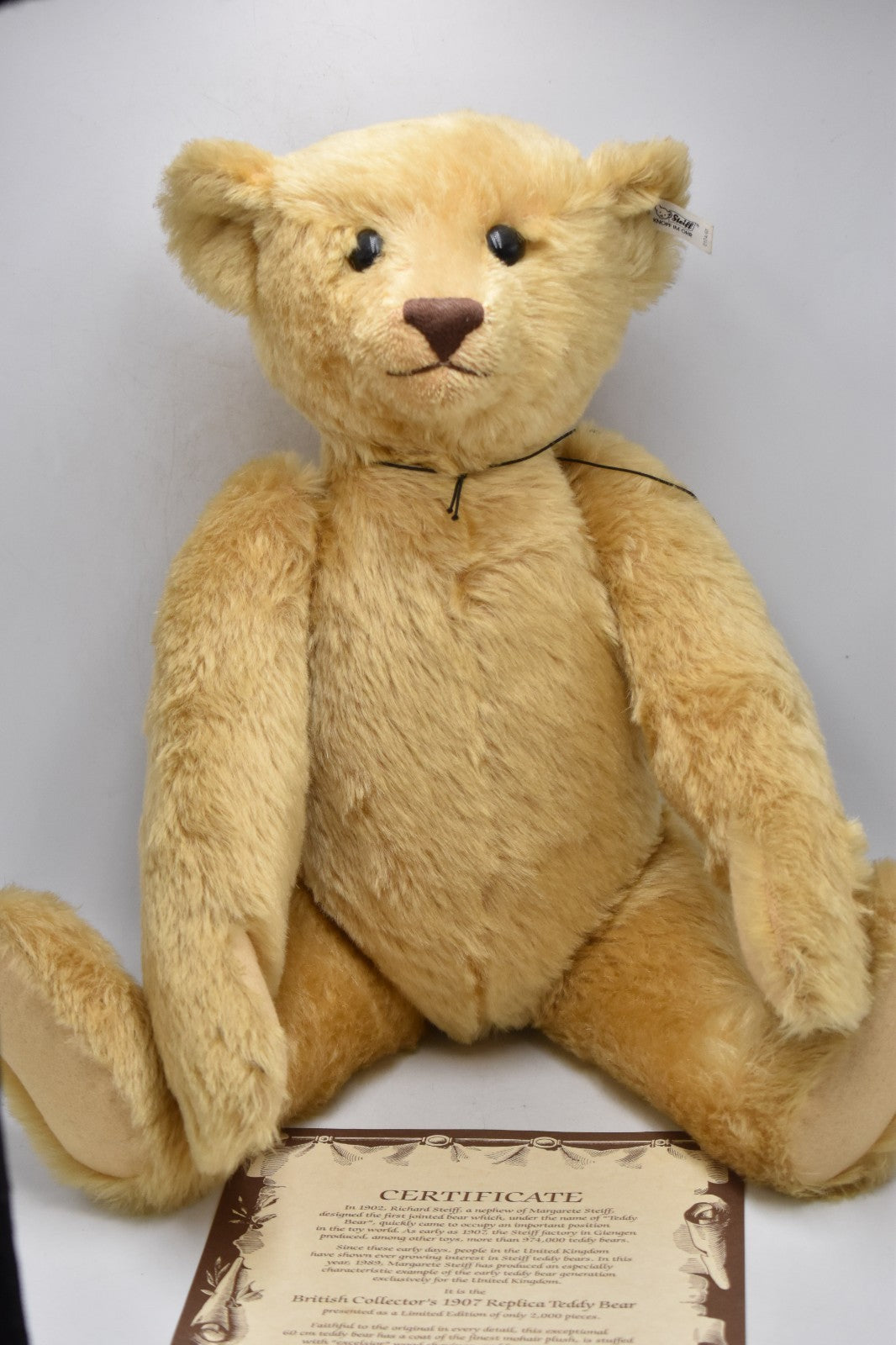 Steiff British Collector’s 1907 Replica Teddy Bear 0174/61 60cm 406102