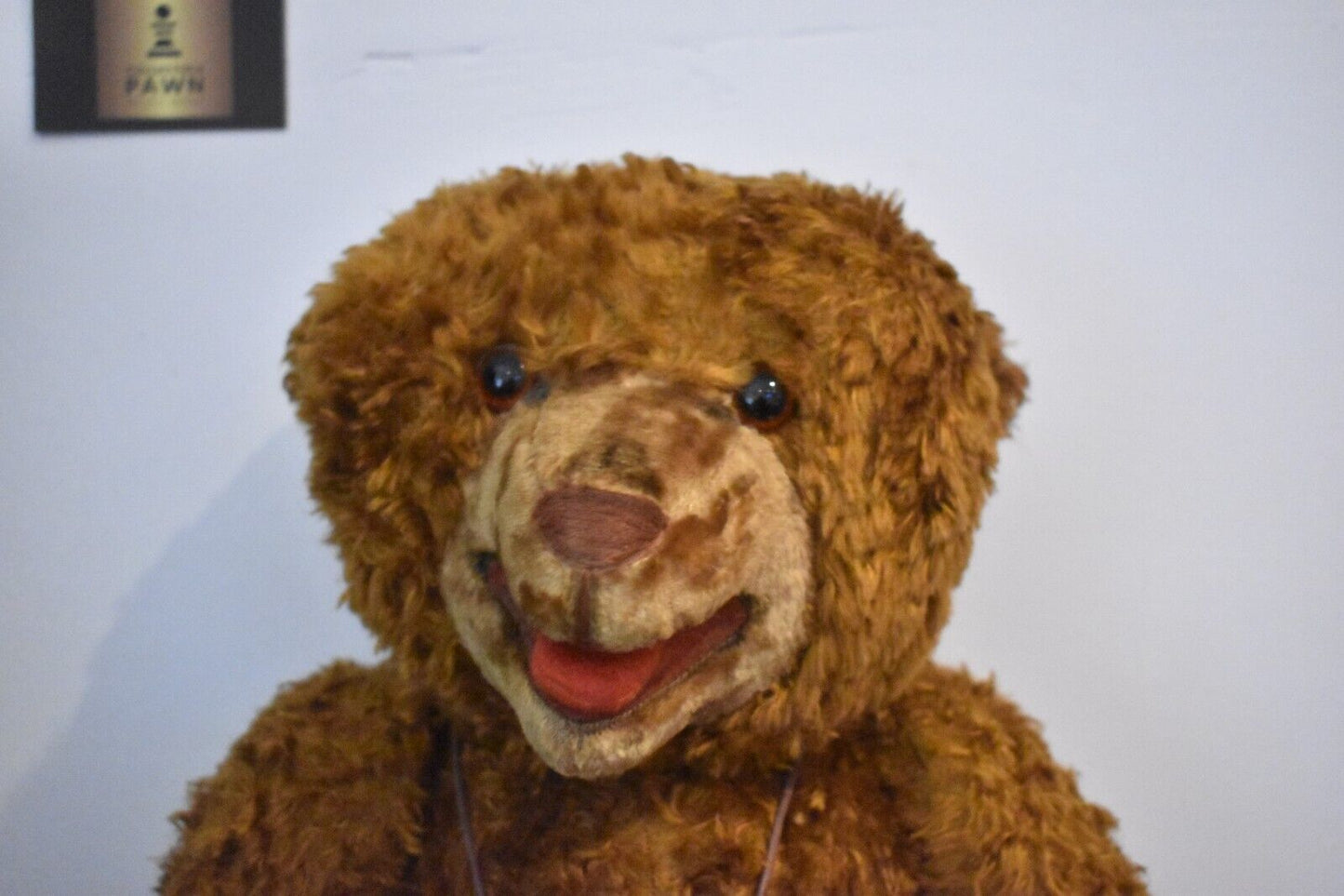 Antique Vintage 1920s Bing Teddy Bear – Fully Jointed Mohair- 56cm